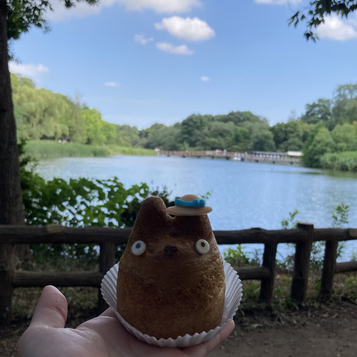 aokinoko612's tweet photo. でもやっぱり自然の下にいる時間が1番楽しかった井の頭公園めっちゃ良いところでした…🌳
晴れてよかったです☁️ https://t.co/oi7dTxvCeg