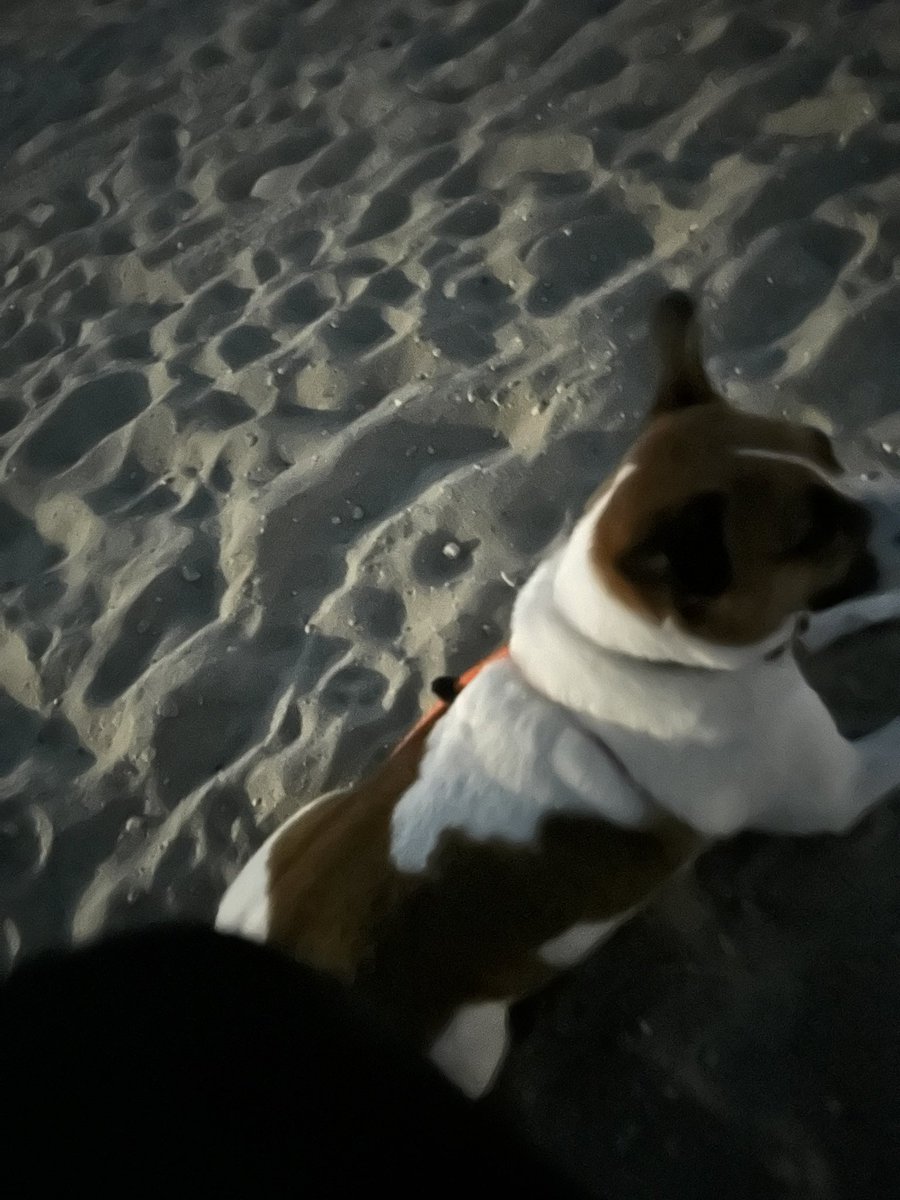 Mizz_DLK's tweet photo. @Phil_Sledge Full moon at the beach tonight:) https://t.co/Qf1qbTCJSf