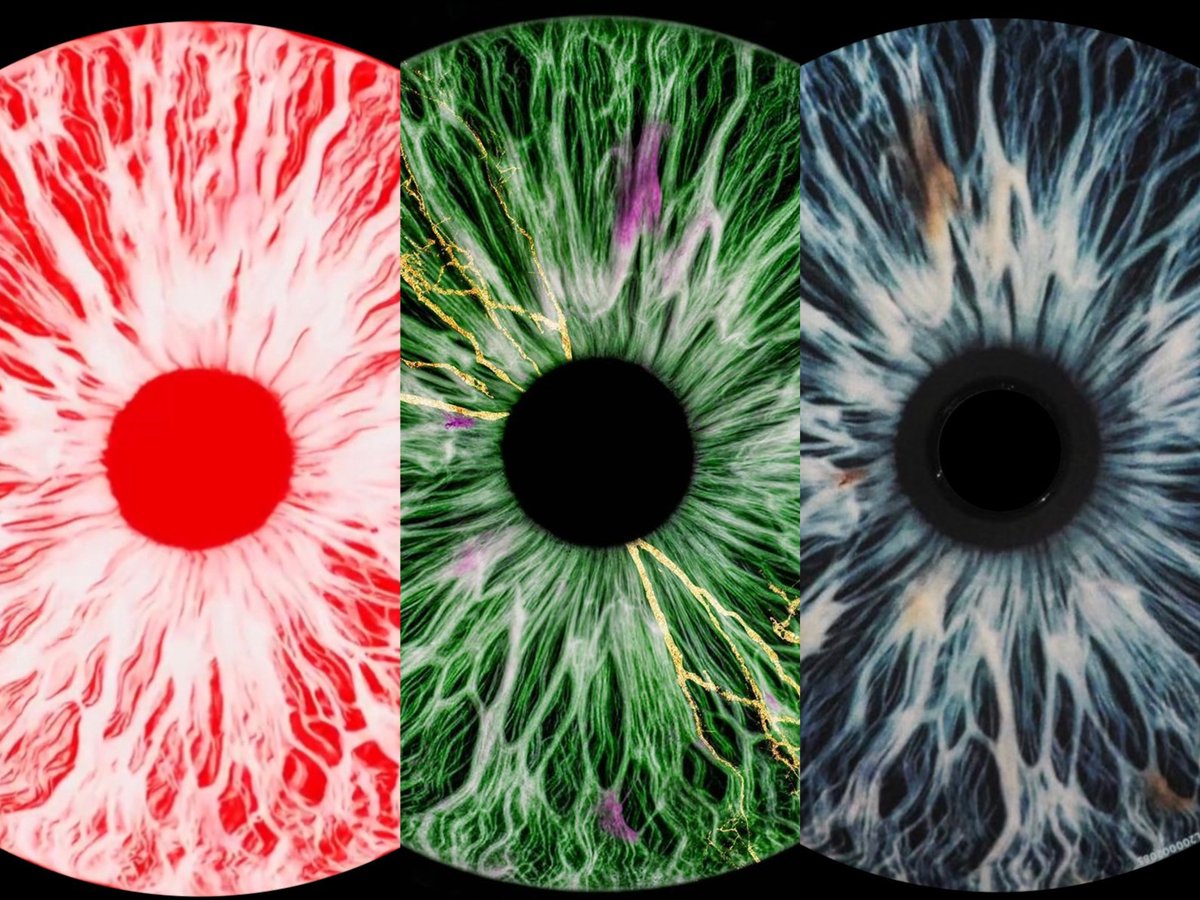 DPR IAN archive tweet media