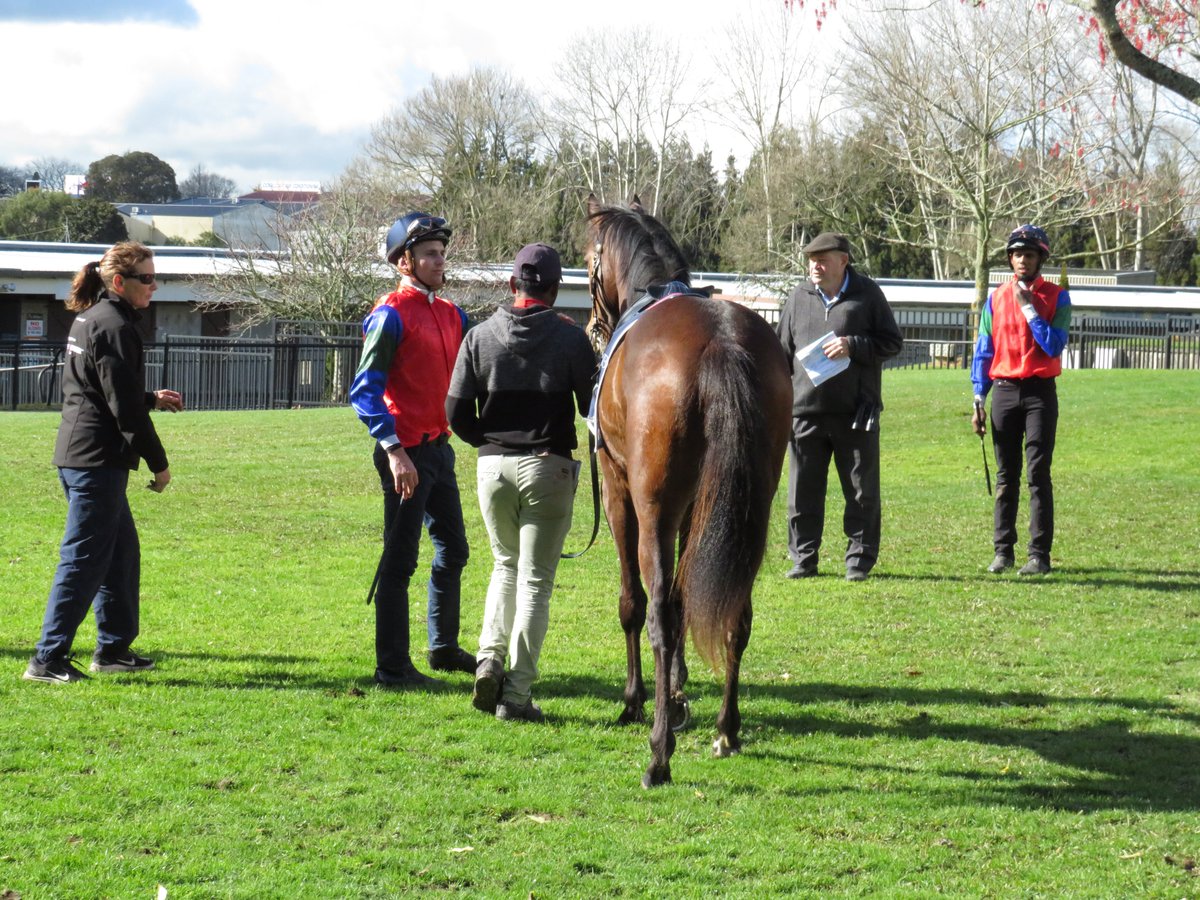 Rogerson Racing tweet media