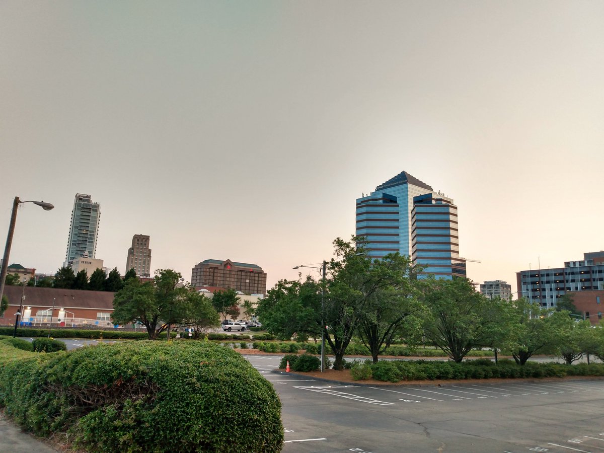 cindy mendieta tweet media