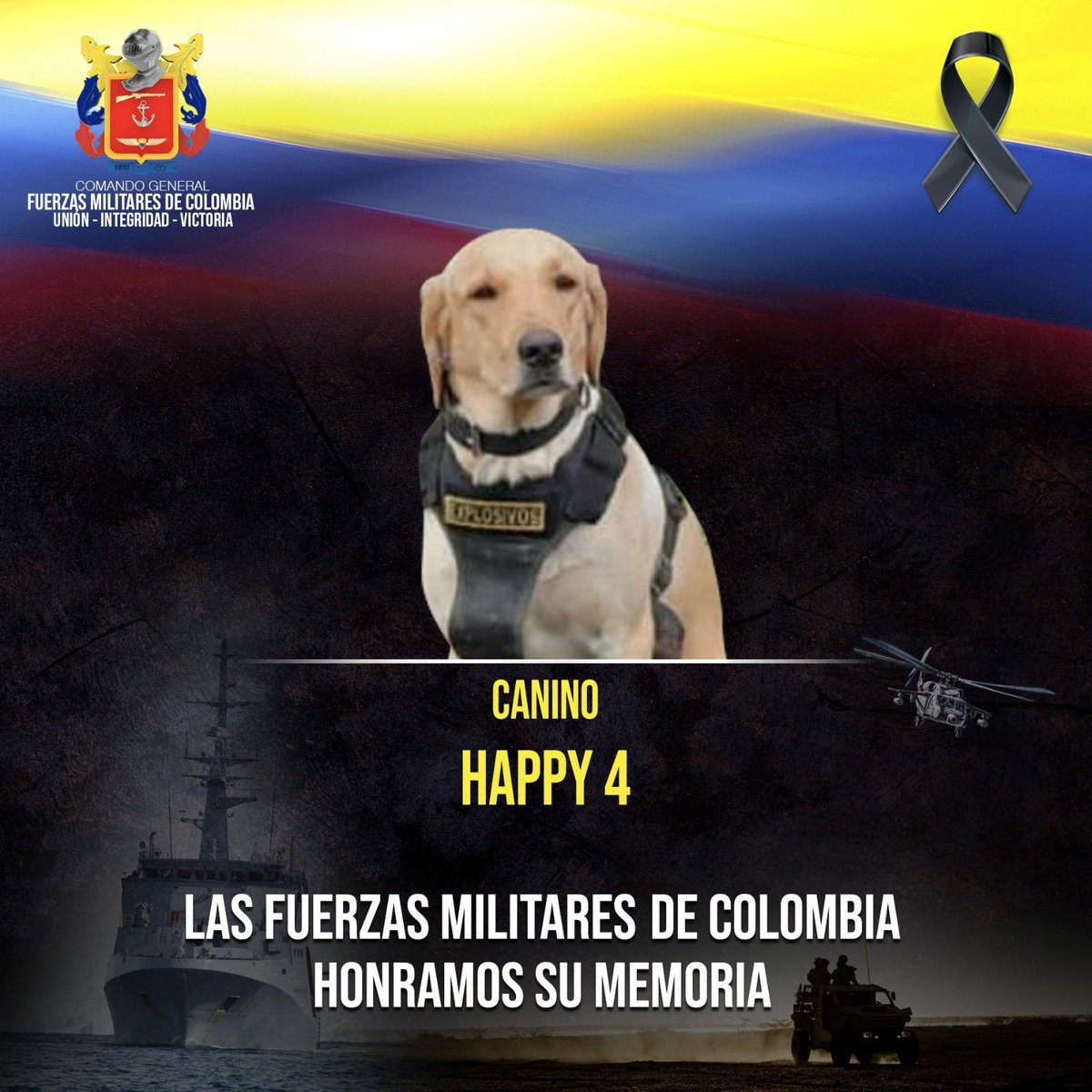 Boletin123colombia tweet media