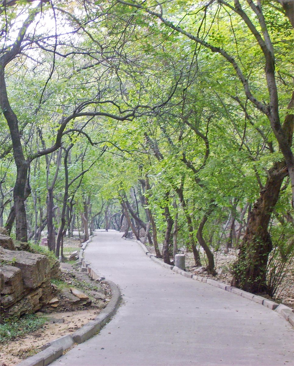 AnhuiTravel's tweet photo. Step onto the stone-paved path of Huangzangyu National Forest Park, follow #The31stFISUWorldUniversityGames to trace the footsteps of the wind, and explore the verdant beauty of summer.
#AnhuiMarksFISU #SuzhouCity #FeelAnhui #SummerNote #TrackAnhui https://t.co/AVeYsQrKks