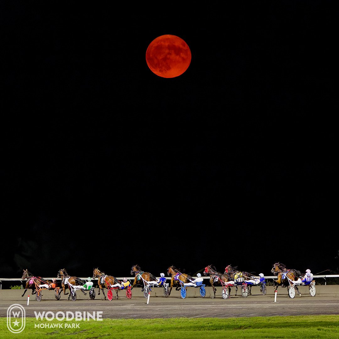 The August Supermoon hangs over the field of the 7th race @woodbinesb as they head down the backstretch.