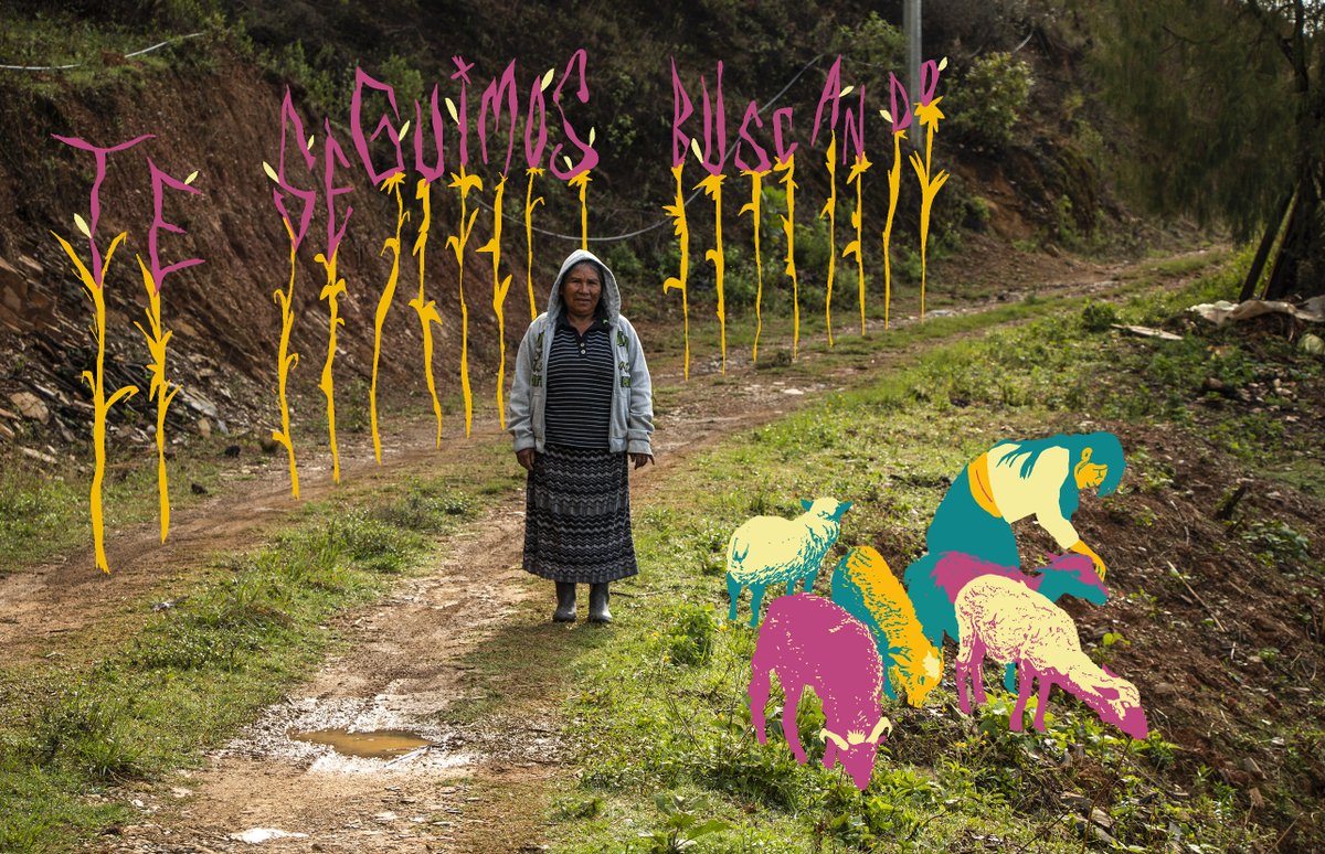 ¿Dónde estás? Te estamos buscando / Paraa nuulu, cayube lii?/  Nchíi kua’an naá, ndanduko kue nii?
Un reportaje que habla de cómo mujeres indígenas de Oaxaca han aprendido el significado de resiliencia desde que buscan a sus hijas e hijos desaparecidos.. notimia.com/donde-estas-te…🪡