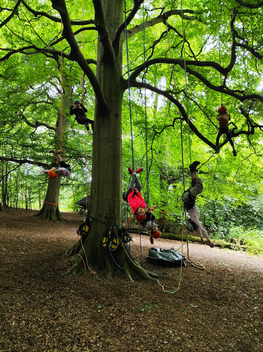 Our recent day camps!! More going up soon to book for next week :-)