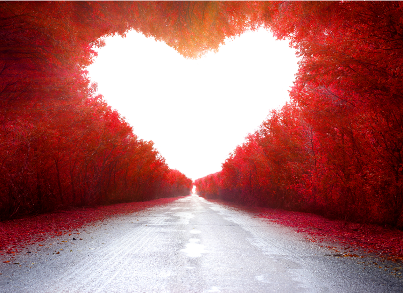 AuthenticLoveM's tweet photo. 🌟 Uncover the untold secrets of love! ❤️ Dive deep into the true essence of love &amp; relationships at Authentic Love Ministries. Join the soul-stirring exploration: https://t.co/iFpsbZIB1N 🚀 #Love #Relationships #AuthenticLove 🌟 https://t.co/2YpeaWRJ88