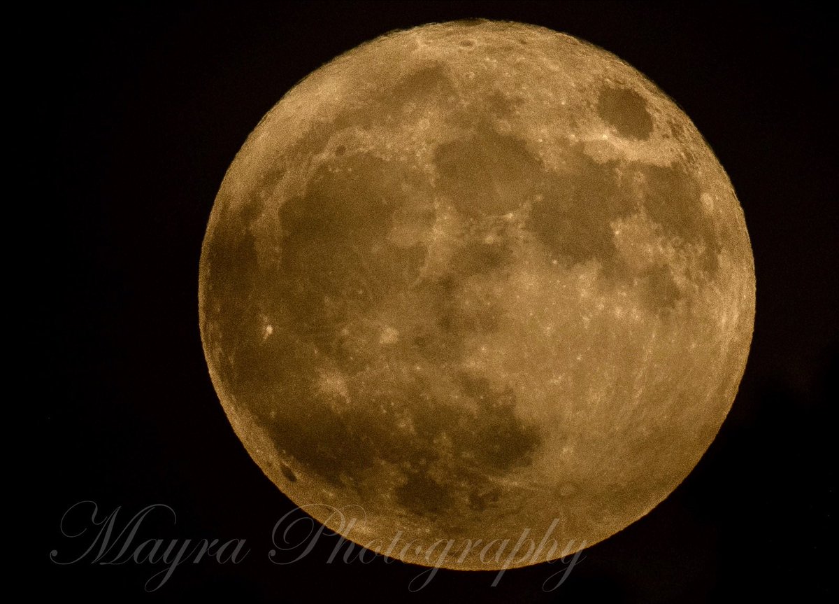 LePapillonBlu2's tweet photo. Over a hazy sky tonight, I got a glance of the Perigee Moon. 🌕 #Fullmoon #Perigeemoon #Supermoon2023 #nikonphotography https://t.co/jvXH4Irl2S