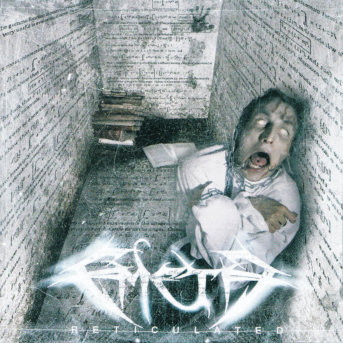 ZTextremeMetal's tweet image. #NowBlasting 

-Emeth 
-Reticulated 
-2006
-Technical Brutal Death Metal 

emethofficial.bandcamp.com/album/reticula…

#TechnicalBrutalDeathMetal 🇧🇪 #BDM
#technical #riffs #GuitarTone #bass
#drumming #BlastBeats #vocals 
#production #artwork #chaotic #2000s #DeathMetal #grind 🤘🏻🔥🤘🏻