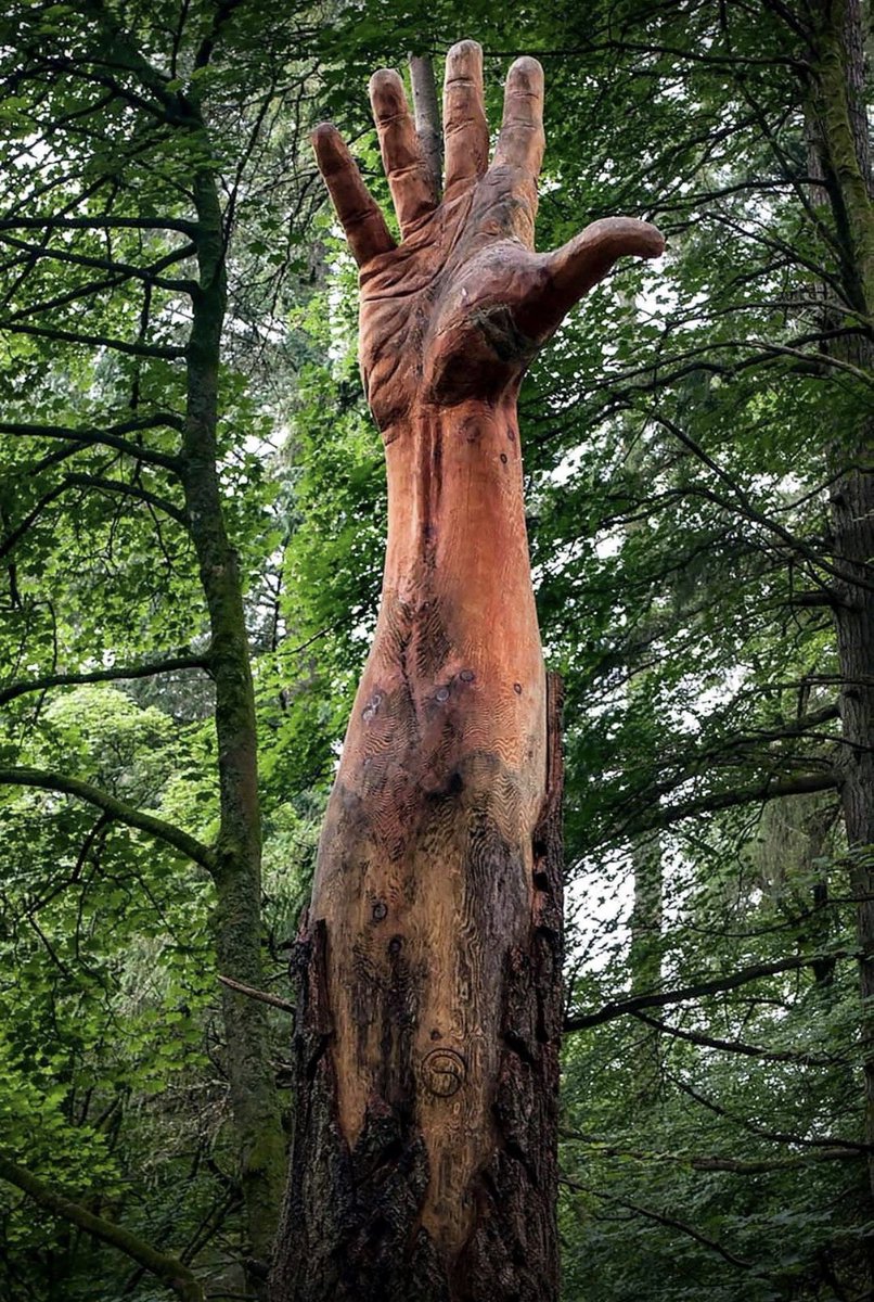 Not all wounds are the end...

The tallest tree in Wales had been damaged by a storm and was supposed to be cut down, but chainsaw artist Simon O'Rourke - Tree Carving found a better solution to symbolize the tree's last attempt to reach the sky.

#posttraumaticgrowth 
artist is