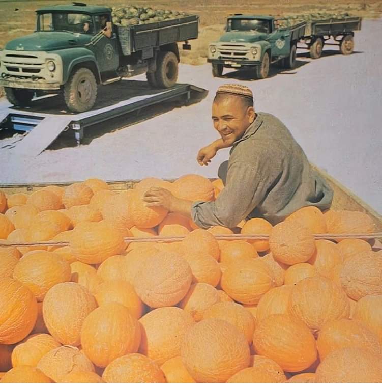 Cars of the USSR, Russia and the world
Trucks ZIL-130 transporting melons and watermelons in the Turkmen SSR, ~70s.
Photo from the book-album "Turkmenistan - 60" (Ashgabat, 1984)
#zil130 #truck #made in the USSR #melons #watermelons #turkmenistan