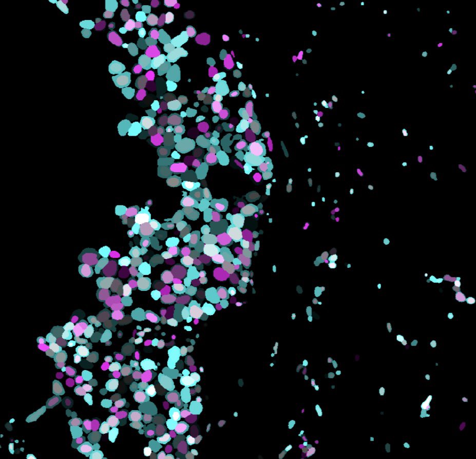 Finally, got some cool visualization of my work!