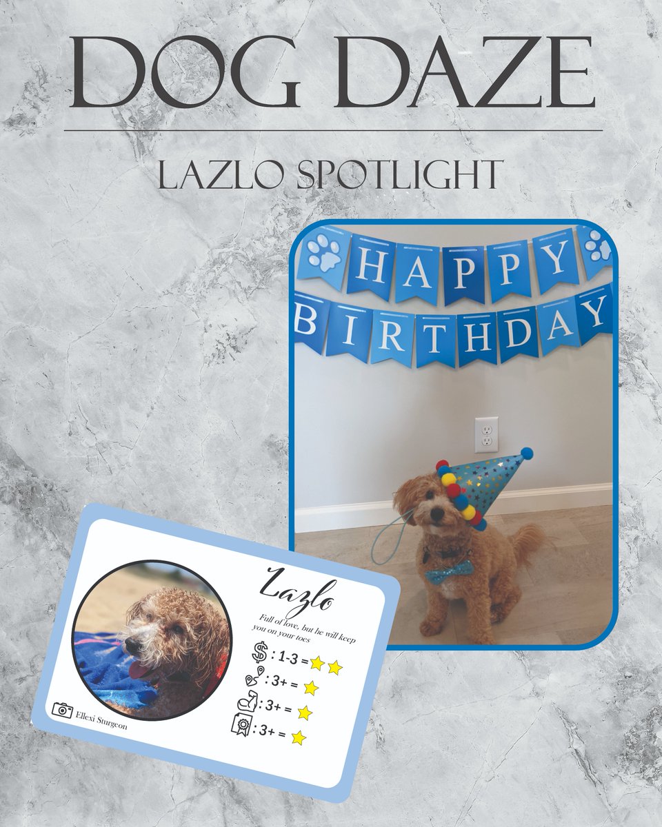 TableTechGames's tweet image. Here are our first Dog card Spotlights! Our pets, Manolo and Lazlo were perfect fits for lovable dogs with high standards. Which one would you want to meet more?
#DogDaze #TableTech #cardgames  #boardgame #dog