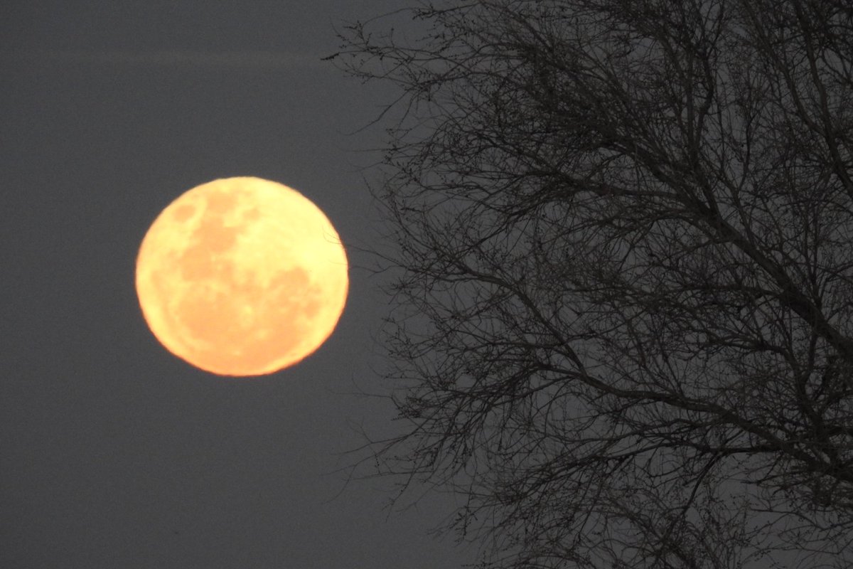 belumase's tweet photo. #SuperLuna de #esturion https://t.co/2zvtwFyT4S