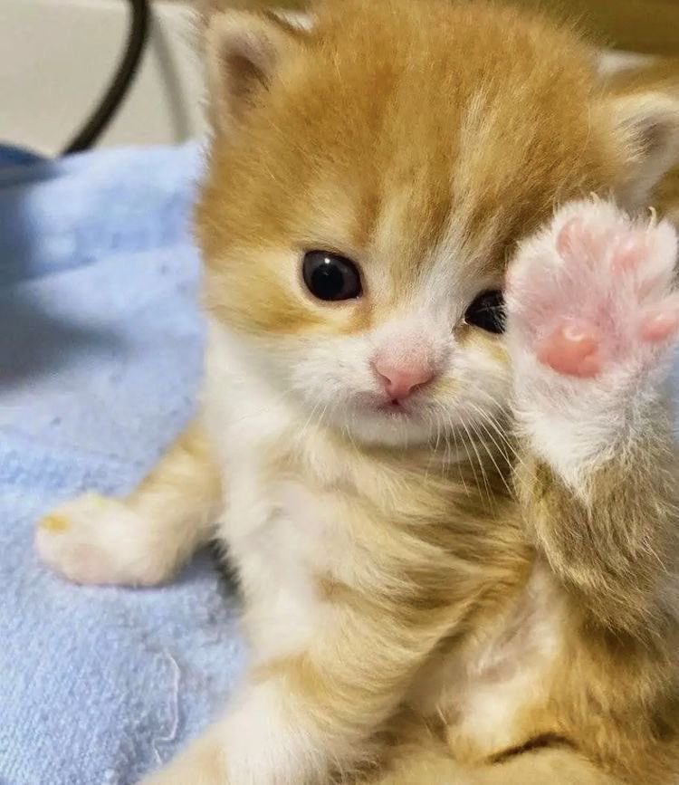 ime wavig helow wigth mine fout,,!