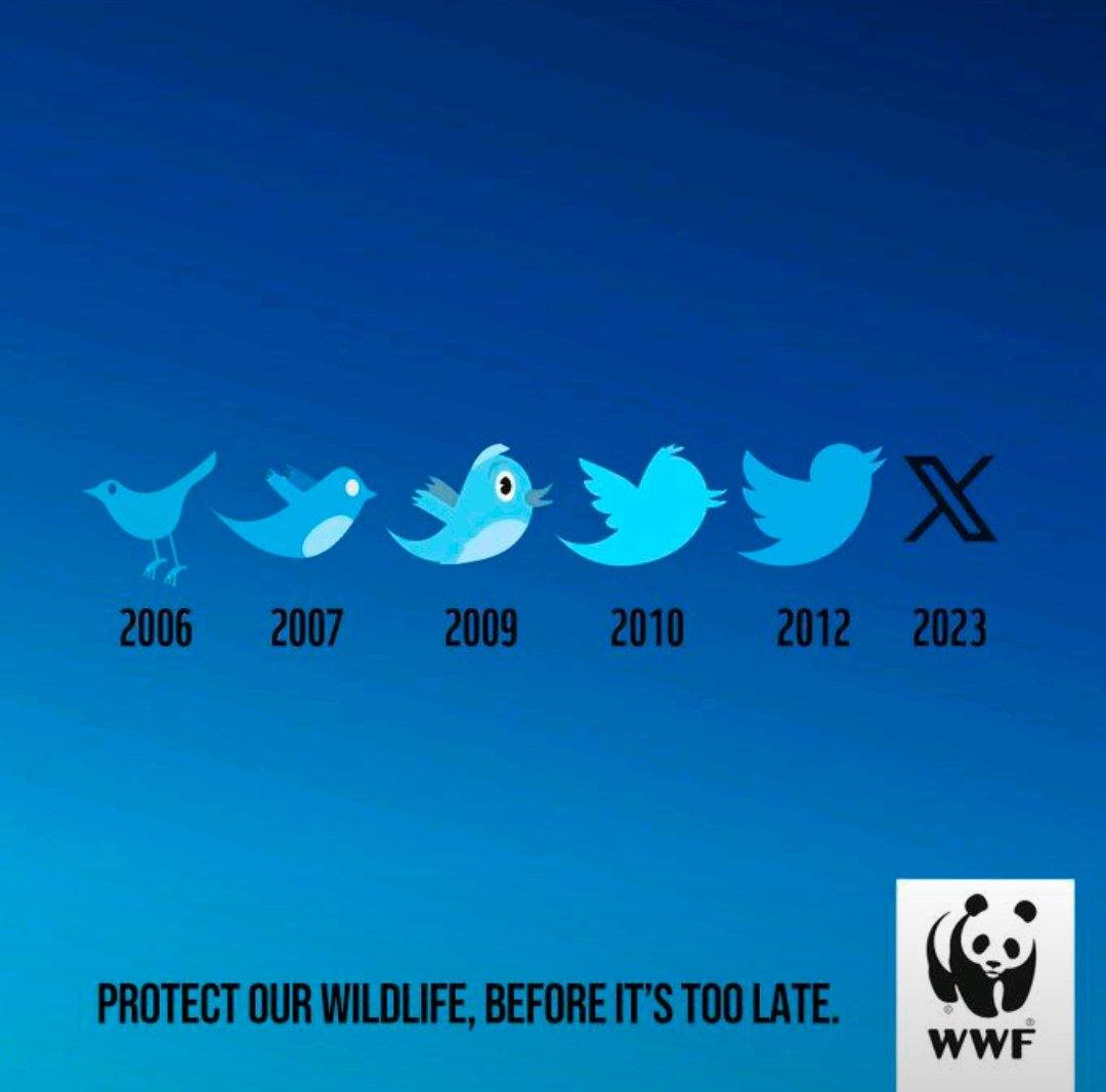 Daniel Berky RPh MS דן mindly.social/@Daniel_Berky (@danberky) on Twitter photo 