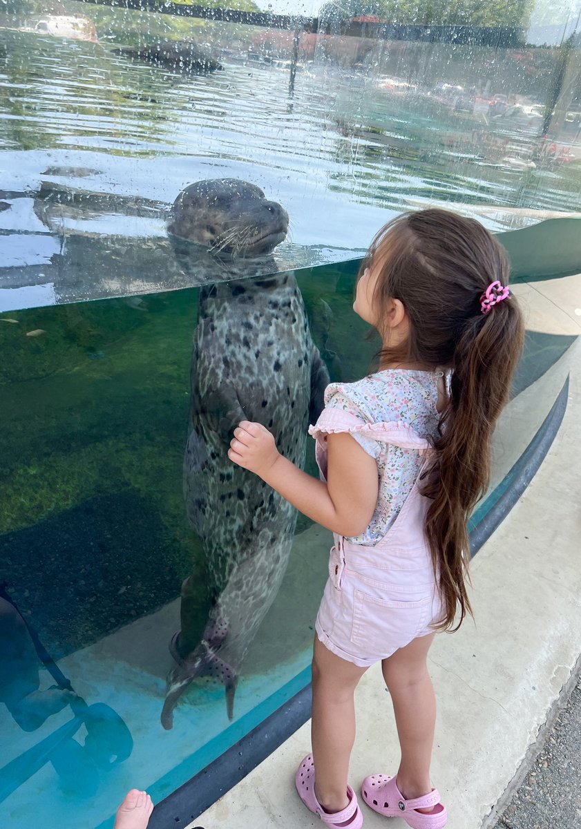 Ms. Biberaj tweet media