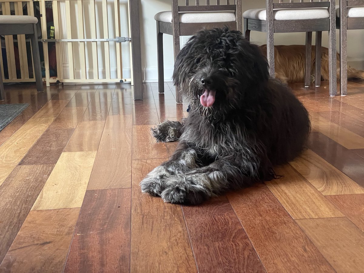 Miss Anderson tweet media