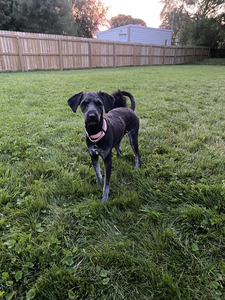 Miss Anderson tweet media