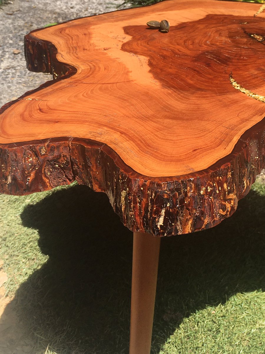 CodiakCreations's tweet image. Calling this one “The Golden Pecan.” This beautiful slab of pecan was sanded to 2000 grit, the gaps were filled with clear epoxy &amp;amp; 24kt gold leaf 👑 this will be available on our #Etsy Shop tonight, more details to follow! #NewTable #SmallBusiness