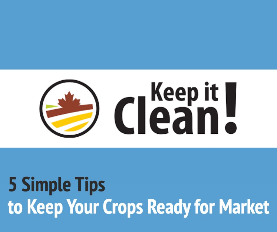 Did you catch the Keep it Clean webinar today? We at FMC did and found it packed with great tips for keeping crops market-ready. Missed it? No worries, check out these 5 Simple Tips: keepitclean.ca/5-simple-tips/ #grow23 #KICCanada #CdnAg