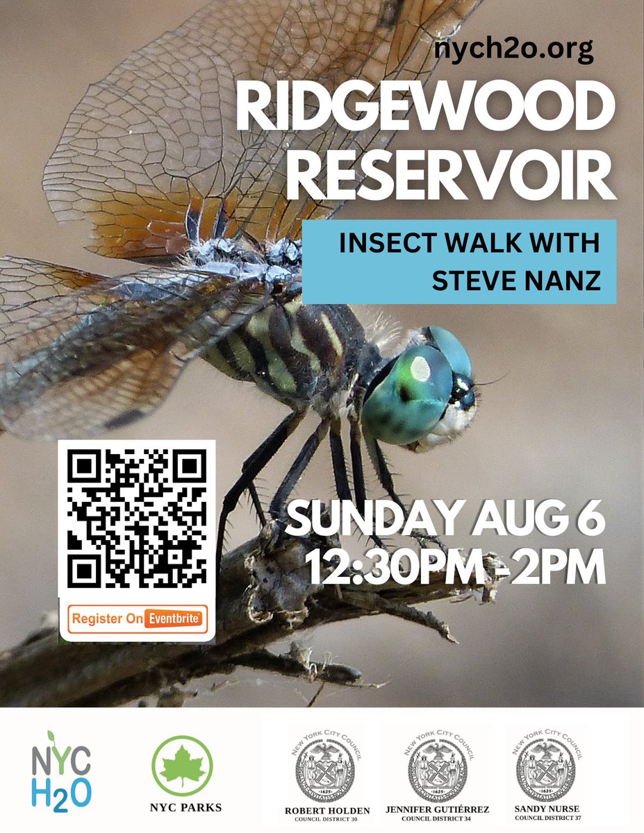 nyc_h2o's tweet photo. This Sun 8/6 join #NYCH2O at Ridgewood Reservoir:
10AM - 12PM Volunteer Landscaping 
 https://t.co/jJ3G6birDw
12:30PM - 2:00PM Insect Walk with Steve Nanz
 https://t.co/LPPYfwRM7t

Thanks to our environmental events' sponsors @CMJenGutierrez  @CMSandyNurse  and @CMBobHoldenNYC https://t.co/CrbubSLS6y