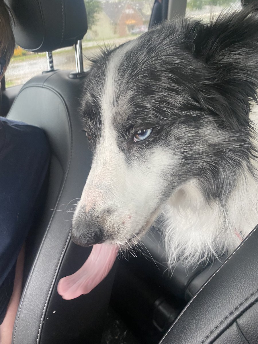 Michelle MD 🐀 tweet media