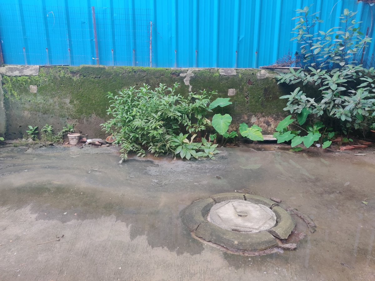 IyerMimi's tweet photo. @mybmcWardFN @mybmc pls attend to the below complaint at the earliest. https://t.co/gpczU2WorZ