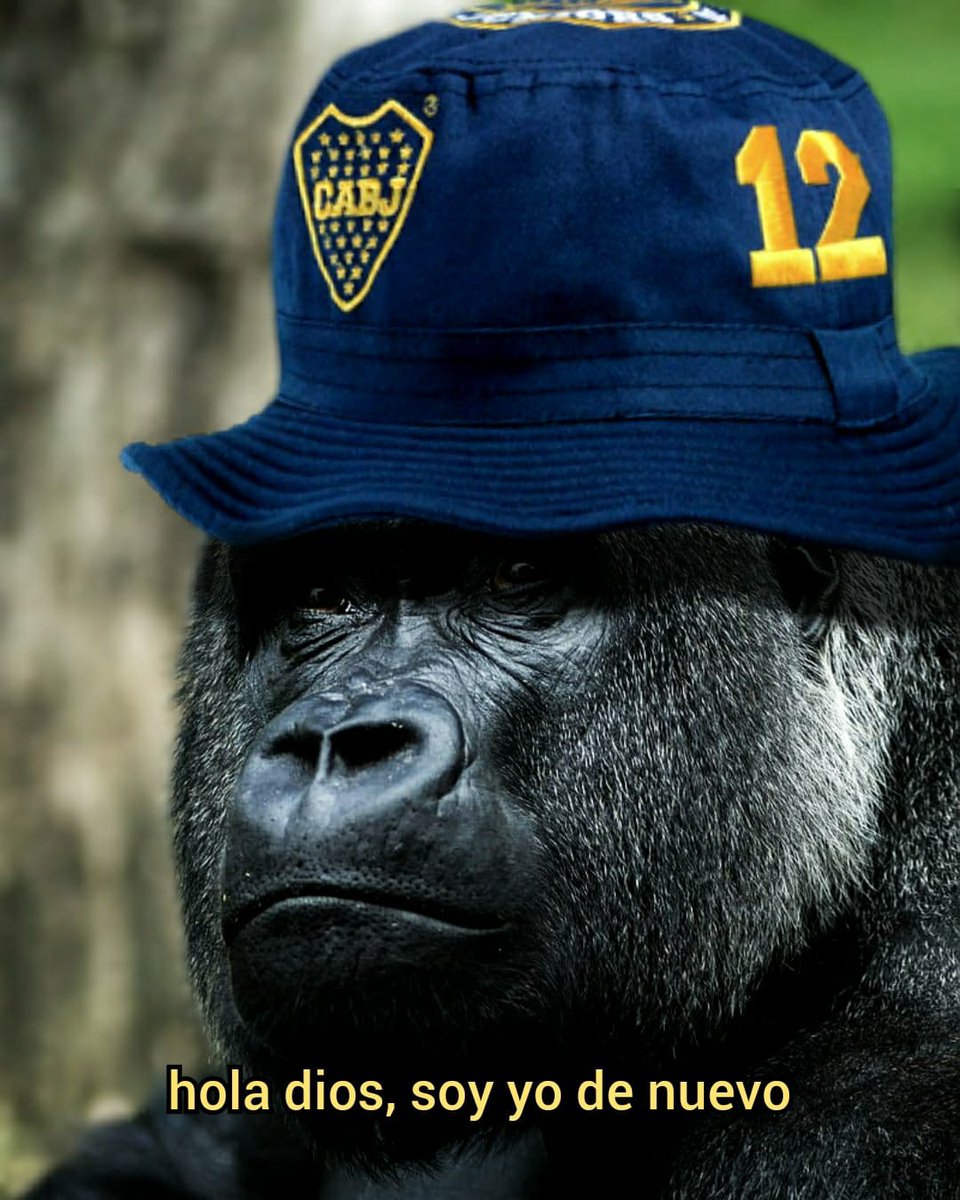 GraciasTevez's tweet photo. "HOY JUEGA BOCA" https://t.co/x8obgvsa6o