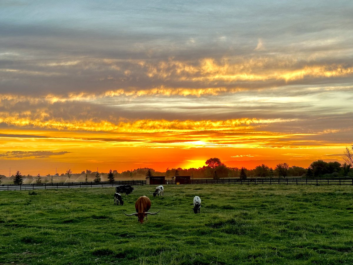 TommyAhlquist's tweet image. There’s nowhere on this planet like #idahome 🤠