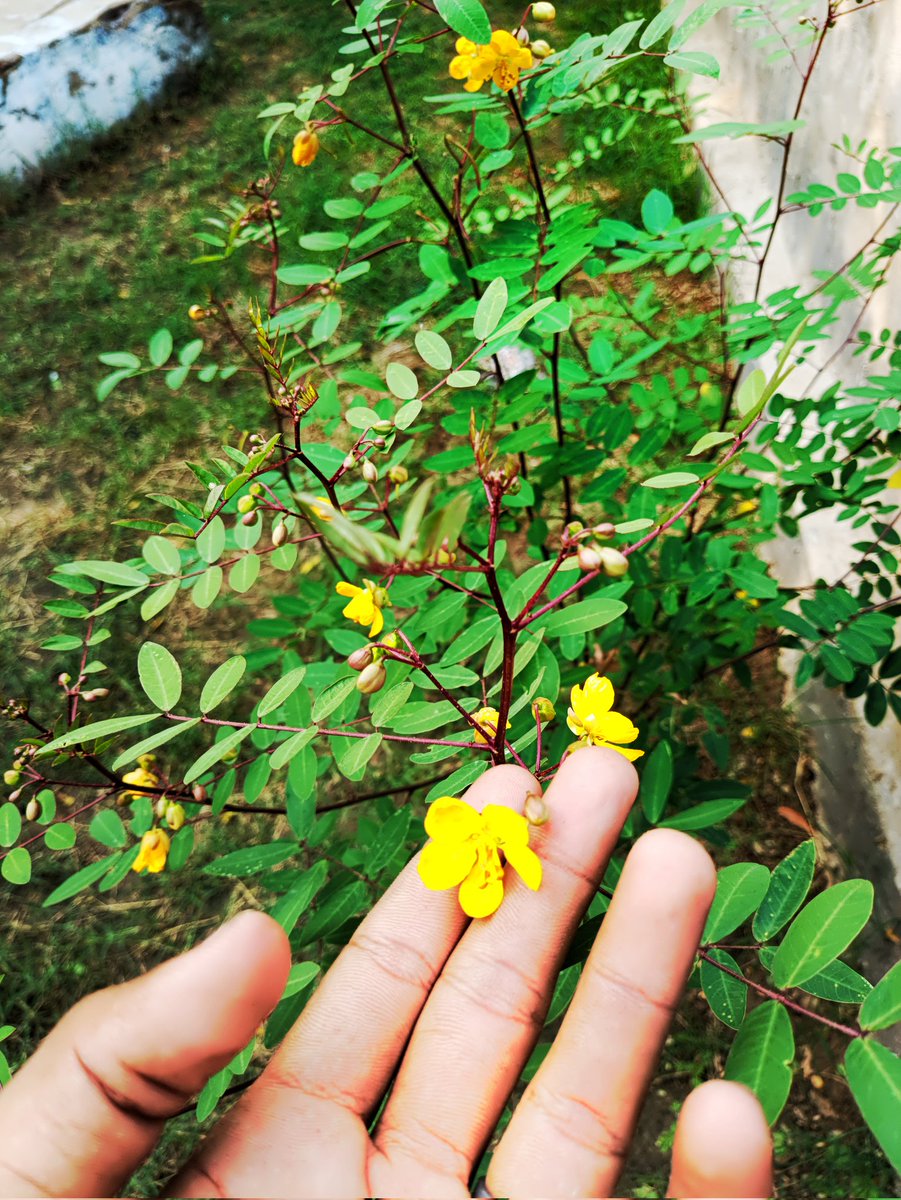 ____Aish____'s tweet photo. FACT:
Log apno se ladte hain,
Apno ki museebto se nhi🙂
#Radheyradhe♥️ https://t.co/QmnggiFv62