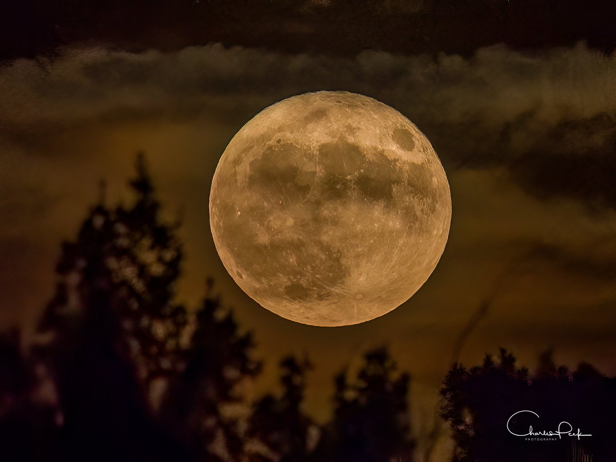 The sturgeon full supermoon tonight as viewed from Stotts City, MO. #supermoon #Fullmoon #SturgeonMoon <a href="/weatherchannel/">The Weather Channel</a>