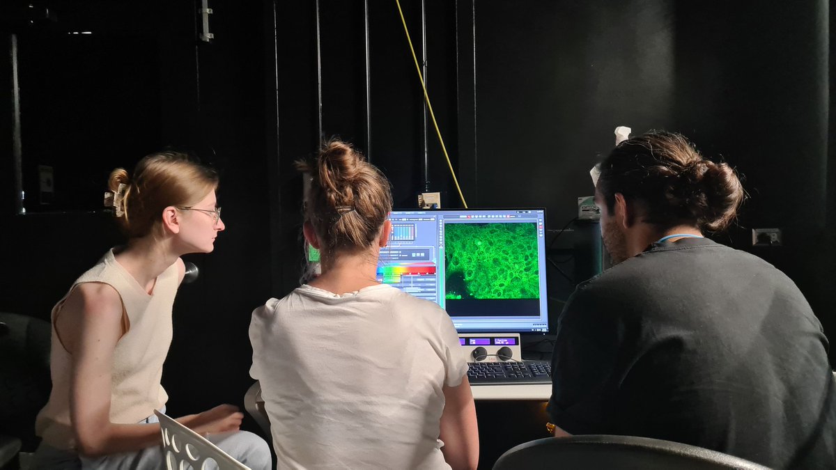 Science at work! Day 2 of stem cell culture with Team SIX: first look at live imaging #stemcell #kitpqbio #kavlisummercourse #santabarbara