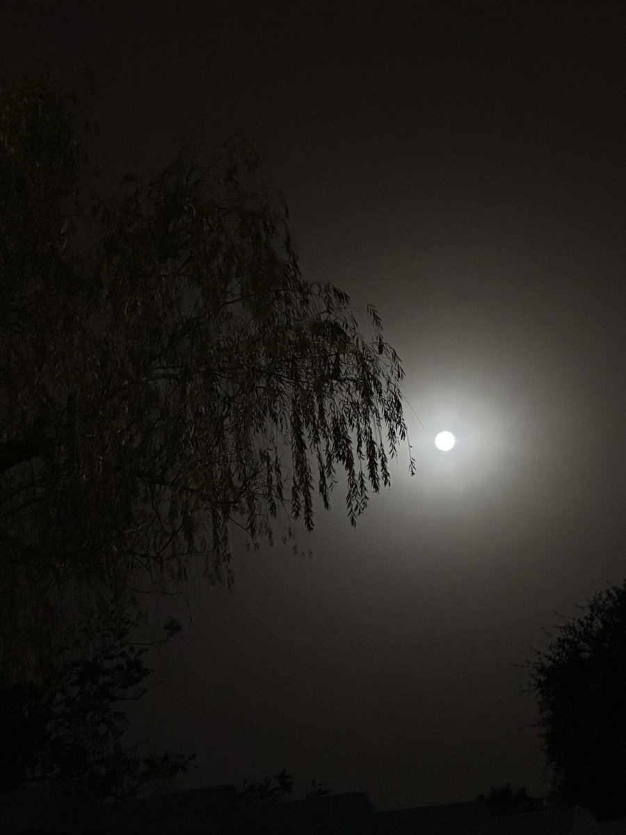 LicBere's tweet photo. 🌕🫶🏼 https://t.co/skszyf8LEg