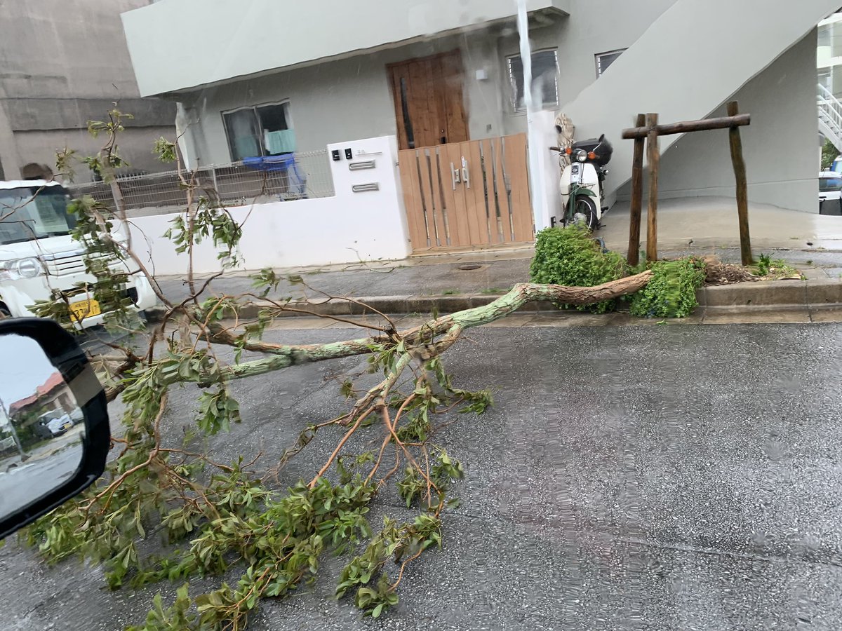 goyayasuto's tweet photo. やばば

#台風6号
#台風 https://t.co/qN3xguz4dH