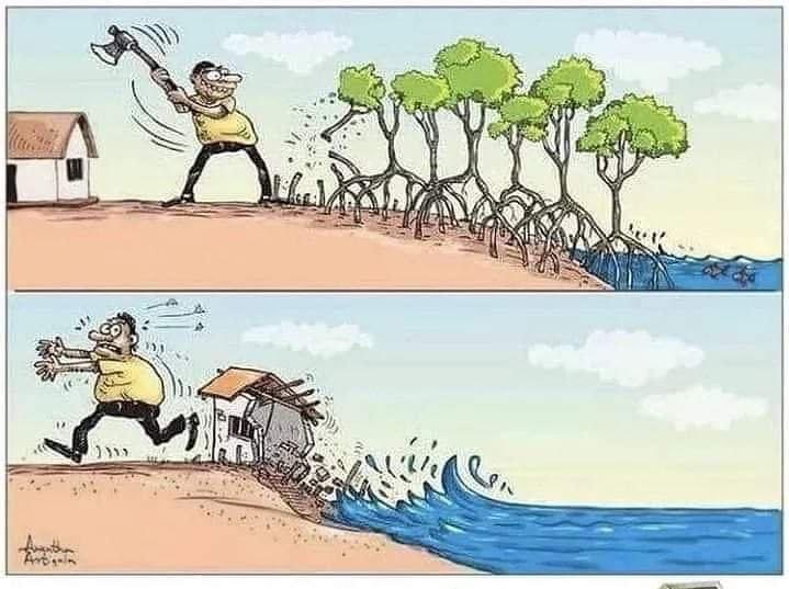 mat_taby's tweet photo. Basically what's happening right now in Bulacan

The mangroves in the province were deforested just to make the new airport. 

The neighboring coastal barangays are now theatened from coastal flooding because the mangroves used to be their buffer zones against floods and typhoons https://t.co/ekOuX41zmF