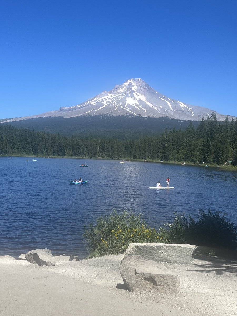 Paul Swanwick tweet media