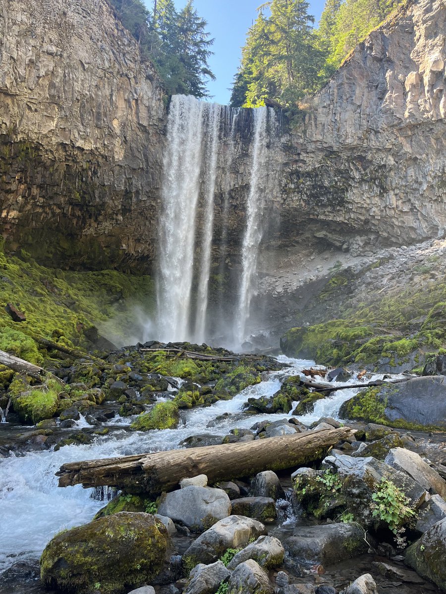 Paul Swanwick tweet media