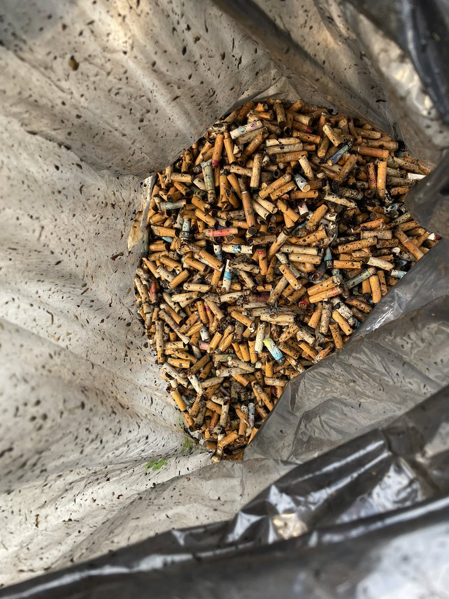ColillasITAM's tweet photo. Hoy entregamos a @ecofilterMexico 7.8 kg de colillas!!! Aproximadamente 19,500 colillas que equivalen a 1,228,500 litros de agua!!! 🤯
Este semestre que está por empezar seamos más conscientes y recolectemos nuestras colillas https://t.co/MpYOD2Gr8s