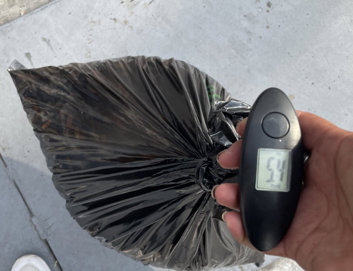 ColillasITAM's tweet photo. Hoy entregamos a @ecofilterMexico 7.8 kg de colillas!!! Aproximadamente 19,500 colillas que equivalen a 1,228,500 litros de agua!!! 🤯
Este semestre que está por empezar seamos más conscientes y recolectemos nuestras colillas https://t.co/MpYOD2Gr8s