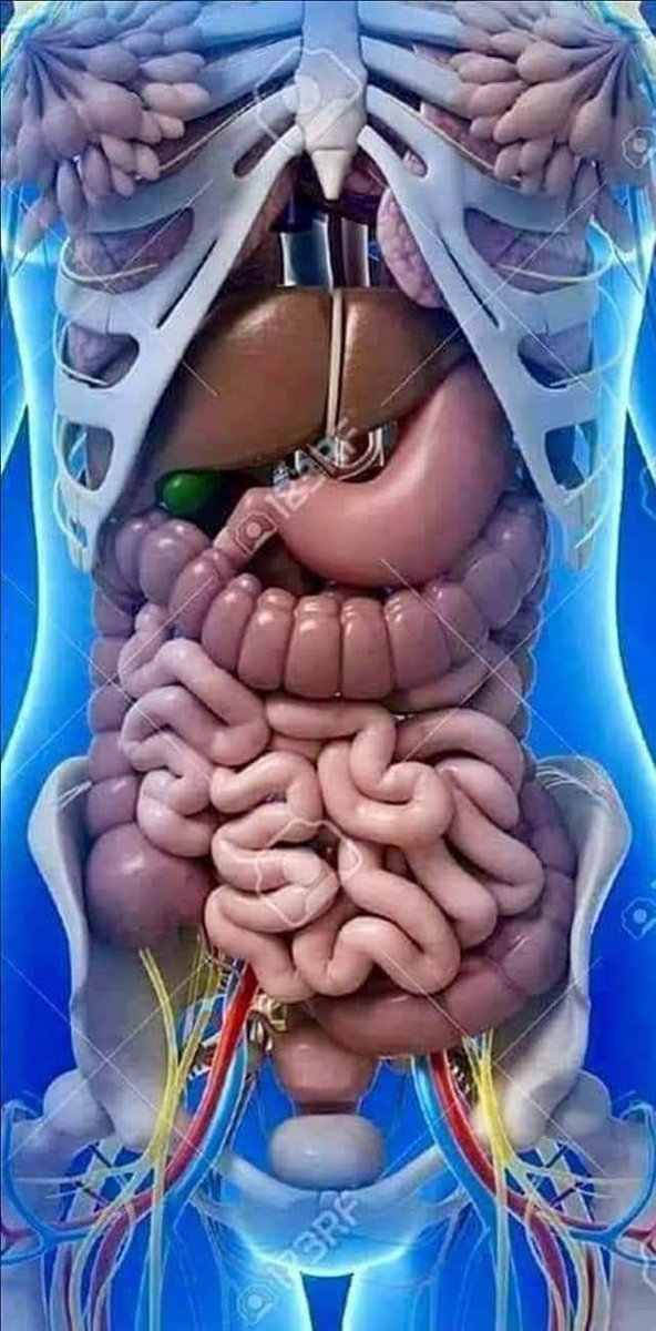 SnrDirector's tweet image. JALI SEHEMU YA MWILI WAKO: KILA KITU SI CHA KIROHO*

 1. *TUMBO* hujeruhiwa wakati huna kifungua kinywa asubuhi.

 2. *FIGO* hujeruhiwa wakati hunywi hata glasi 10 za maji ndani ya masaa 24.

 3. *KITUNZA NYONGO* hujeruhiwa wakati ambao hulali hadi saa 11 na hauamki mapema.

 4.…