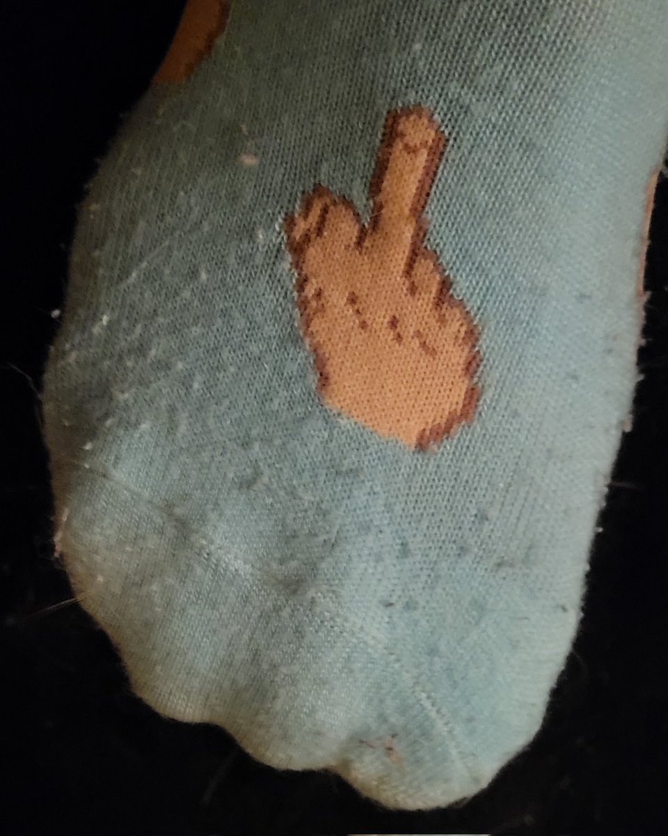 bnweaver81's tweet photo. My socks say it best to VBNMW Dems! #CornelWest2024 #BlueMAGA #FAKEprogressives https://t.co/himazVEmMe