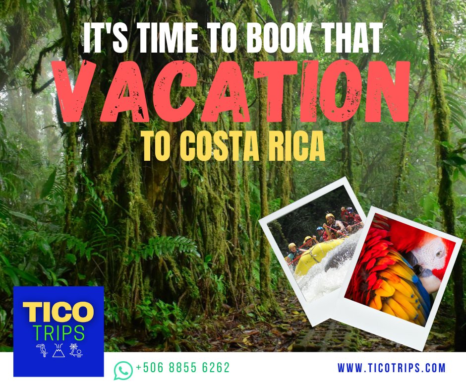 What are you waiting for?  Costa Rica is happening NOW so don't miss out! We have great deals.

CONTACT US +506 8855 6262

#ticotrips #visitcostarica #travelcostarica #costarica