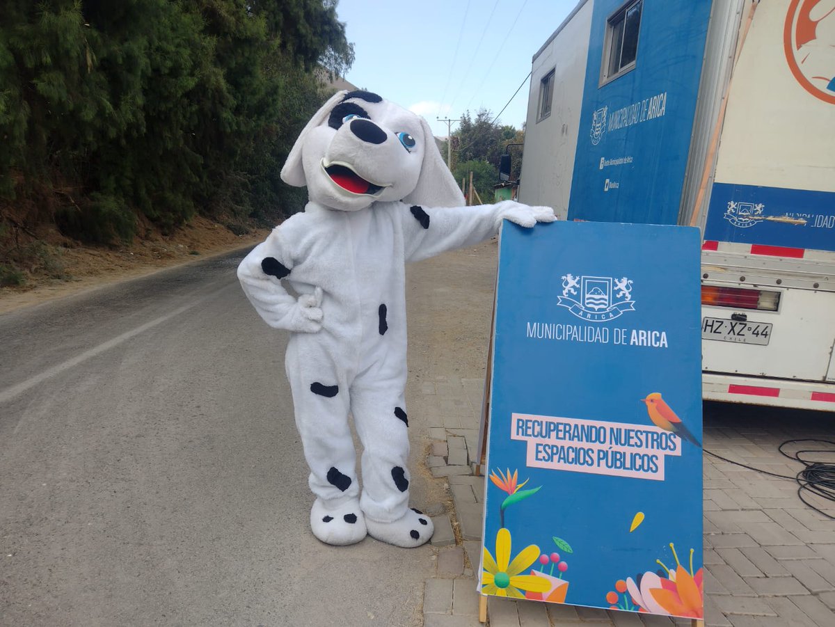 PauliKaboom's tweet photo. Hasta Caleta Vitor llego nuestro equipo de la Veterinaria móvil de la Dimao
#MuniArica junto a Morrito, para entregar atención a perritos y gatitos del sector. Y este viernes llegamos con un nuevo operativo de limpieza y retiro de escombros. 🚯🐈🐕
#VamosPorMás https://t.co/684SdCQ1BR