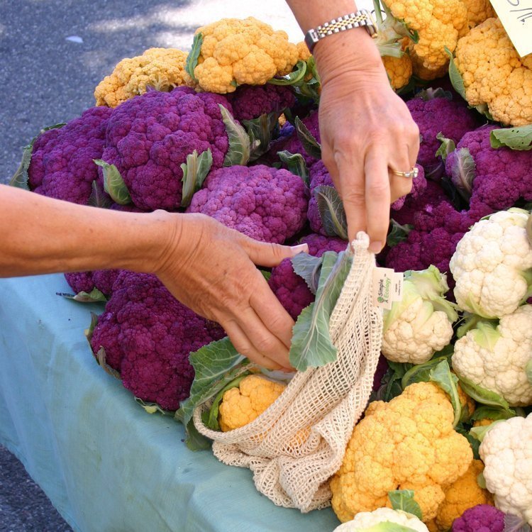 TAPcampaign's tweet photo. Heading to the farmers market this week? Be sure to bring your own containers for vegetables & fruits, in addition to your reusable shopping bags. It's taking this extra step that really elevates your reduction in plastic consumption.
#plasticfree #farmersmarket #TAPoutplastic https://t.co/gLdSJ6qzjA