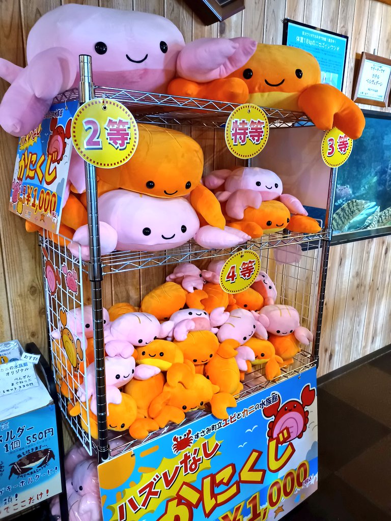 大人気かにくじ、今度はピンク！！ 1回1000円で必ずどれかが当たる