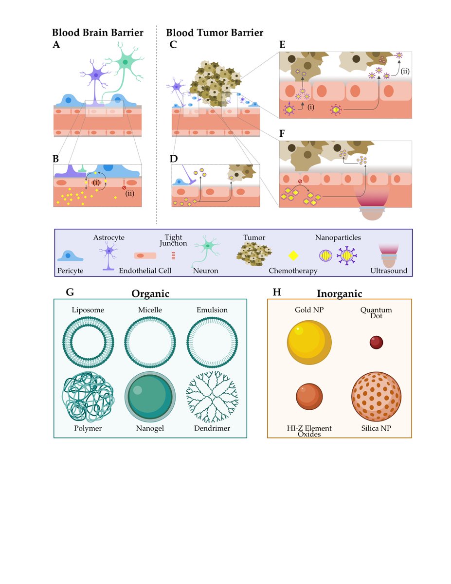 Journal of Nanotheranostics MDPI (@jnt_mdpi) on Twitter photo 🔔New #mdpijnt publication!
🌟"An Overview of #Nanotherapeutic #Drug Delivery Options for the Management of #Glioblastoma" by Dr. Sprowls, S.A. et al. <a href="/SamuelSprowls/">Samuel A. Sprowls, PhD</a> <a href="/willpentz/">Will Pentz</a> <a href="/vpizzuti44/">Vinny Pizzuti</a> <a href="/Matt_e_Halbert/">Matt Halbert</a> <a href="/Tritan79/">Tritan Plute</a>
🔎Full article is available at: t.ly/tf0ln 🔔New #mdpijnt publication!
🌟"An Overview of #Nanotherapeutic #Drug Delivery Options for the Management of #Glioblastoma" by Dr. Sprowls, S.A. et al. <a href="/SamuelSprowls/">Samuel A. Sprowls, PhD</a> <a href="/willpentz/">Will Pentz</a> <a href="/vpizzuti44/">Vinny Pizzuti</a> <a href="/Matt_e_Halbert/">Matt Halbert</a> <a href="/Tritan79/">Tritan Plute</a>
🔎Full article is available at: t.ly/tf0ln