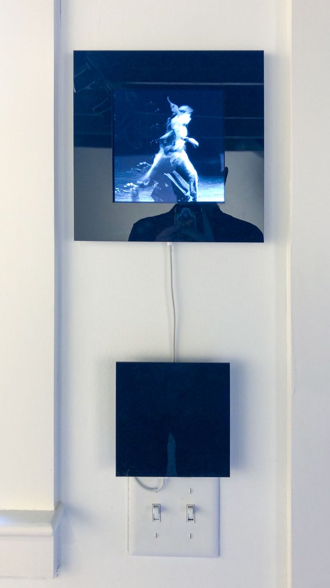 yako.foto — 💎✨ tweet media