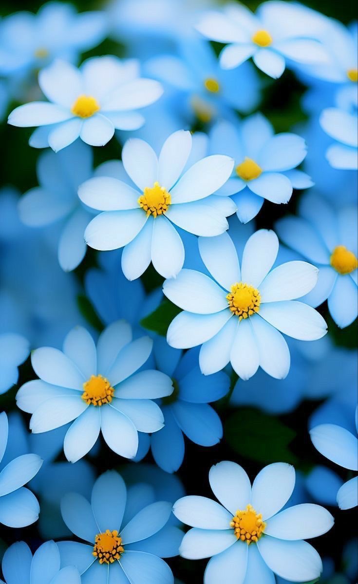 lIlanonymouslIl's tweet photo. #วอลเปเปอร์ #wallpapers #วอลเปเปอร์ไอโฟน #วอลเปเปอร์มือถือ #รูปหน้าจอ #รูปหน้าจอมือถือ #รูปHD #วอลคู่ #รูปคู่ #รูปหน้าจอคู่
ฝาก follow ด้วยนะครับ ❤️ https://t.co/hULlUWpAFd