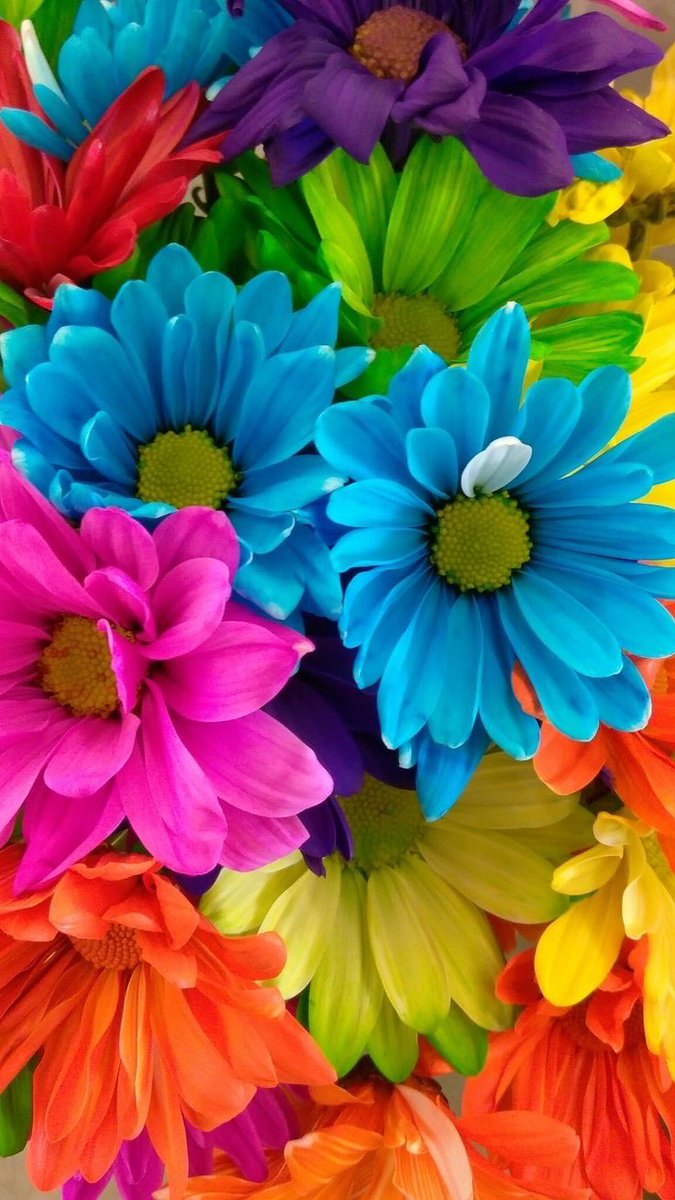 lIlanonymouslIl's tweet photo. #วอลเปเปอร์ #wallpapers #วอลเปเปอร์ไอโฟน #วอลเปเปอร์มือถือ #รูปหน้าจอ #รูปหน้าจอมือถือ #รูปHD #วอลคู่ #รูปคู่ #รูปหน้าจอคู่
ฝาก follow ด้วยนะครับ ❤️ https://t.co/UOOUinqY9P